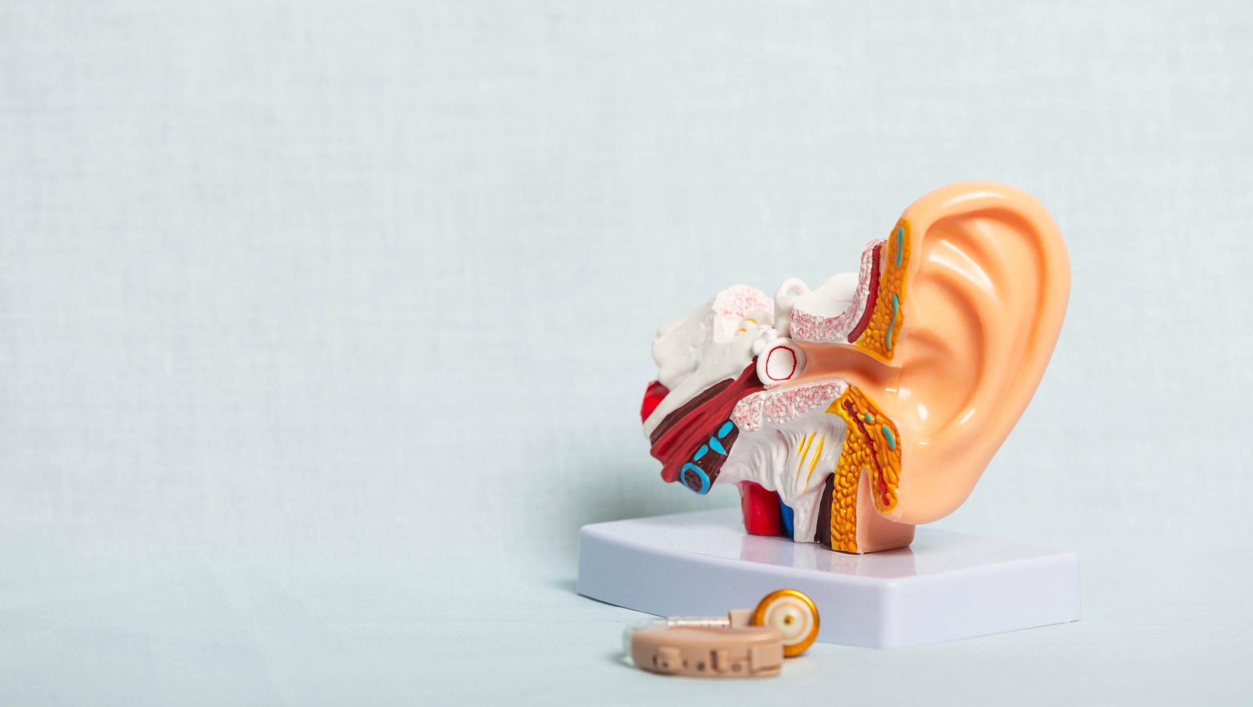 רוצים לדעת איך לבחור מכשיר שמיעה לגיל השלישי?